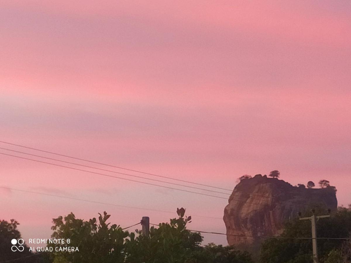 Sigiri Gayani Home Stay Σιγκιρίγια Εξωτερικό φωτογραφία